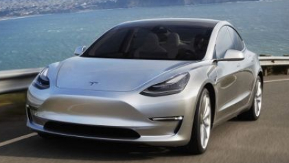 Из автомобиля Tesla Model 3 достали 7 килограммов грязи