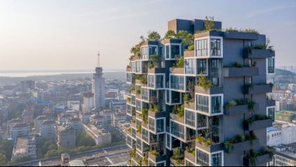В Китае построили дом в концепции «вертикального леса»