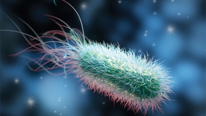 Here’s a rewritten version of the news item with two concise paragraphs and a verified primary source link: Electric Bacteria Power Through Pollution!